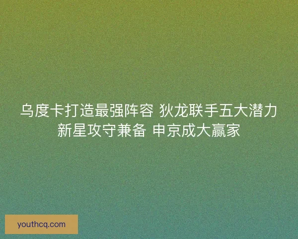 乌度卡打造最强阵容 狄龙联手五大潜力新星攻守兼备 申京成大赢家