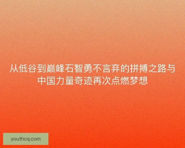 从低谷到巅峰石智勇不言弃的拼搏之路与中国力量奇迹再次点燃梦想